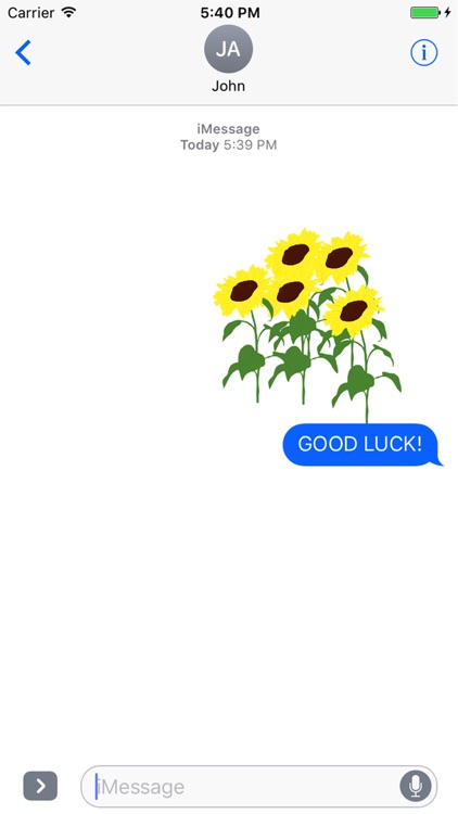 Sticky Flowers: Classic Set screenshot-3