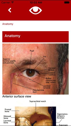 Eye Emergency Manual(圖2)-速報App