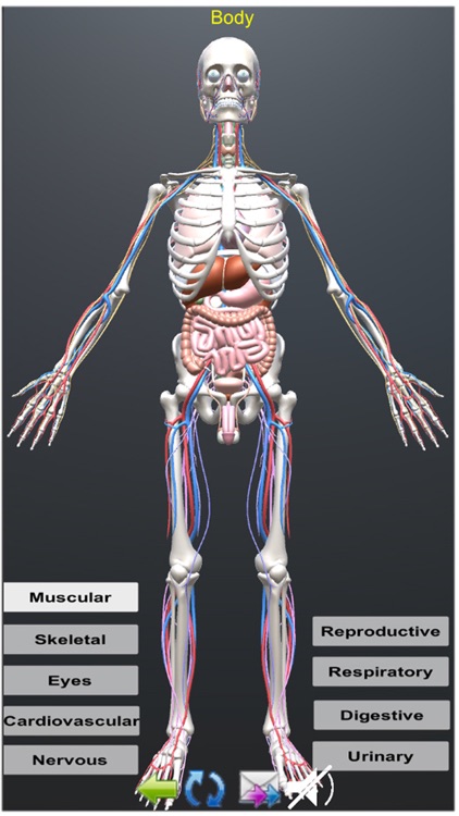 Human Anatomy Encyclopedia 3D screenshot-5