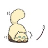 Catmoji - Cute Persian Cat Emoji Sticker