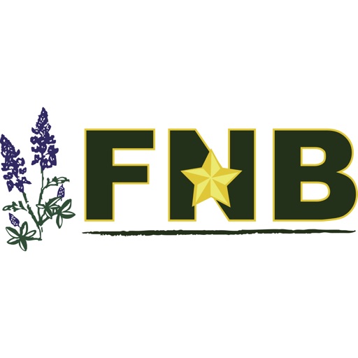 FNB Shiner for iPad