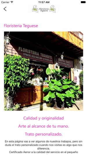 Floristería Tegueste(圖3)-速報App