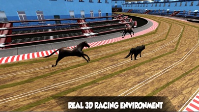 Crazy Real Dog Racing screenshot 4