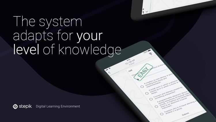 Stepik: best online courses