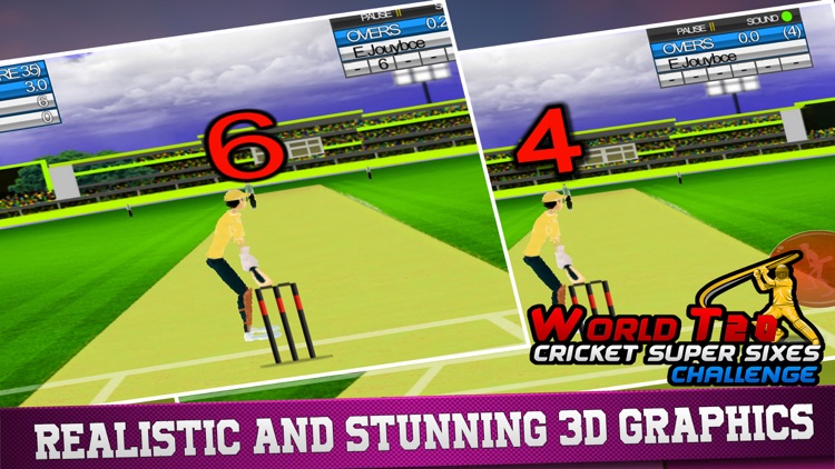 World T20: Cricket Super Sixes Challenge Game screenshot-4