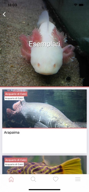 Museo di Storia Naturale Unipi(圖4)-速報App