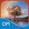 Welcome to Mindful Living Meditations, created by Colette Baron-Reid, spiritual intuitive, mindfulness master, educator and oracle expert