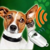 Dog Whistle Sound Training App