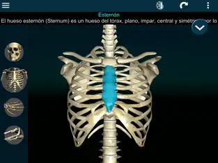 Captura de Pantalla 2 Huesos Humanos 3D (anatomía) iphone