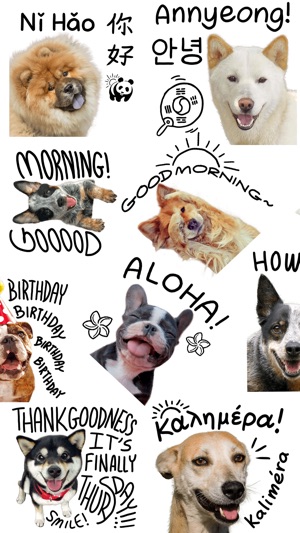 Good Morning Dogs Stickers(圖6)-速報App