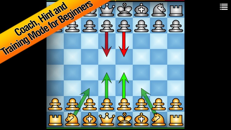 ▻CHESS