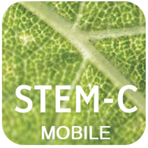 Emmediciotto Mobile icon