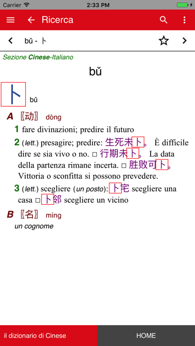 il dizionario di Cinese screenshot 4