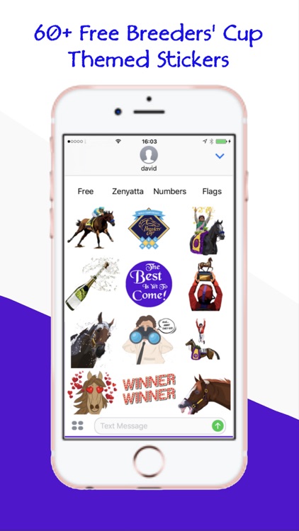 Breeders' Cup 2017 Stickers