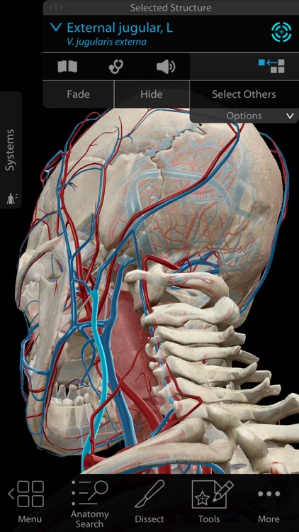Human Anatomy Atlas 2018