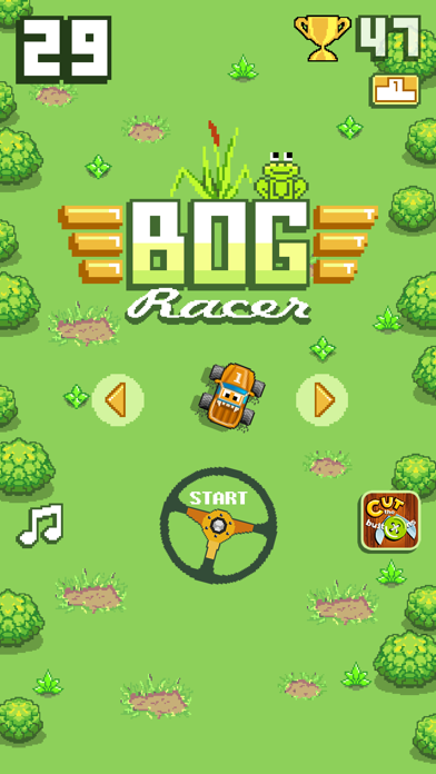 How to cancel & delete Bog Racer from iphone & ipad 4