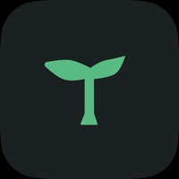 Daily Growth Journal PC 용