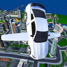 Activities of Flying car driving flight sim