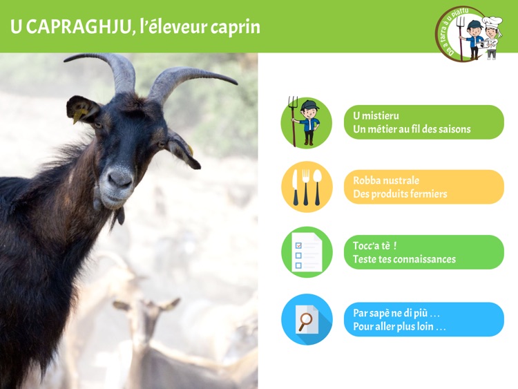 DA A TARRA À U PIATTU