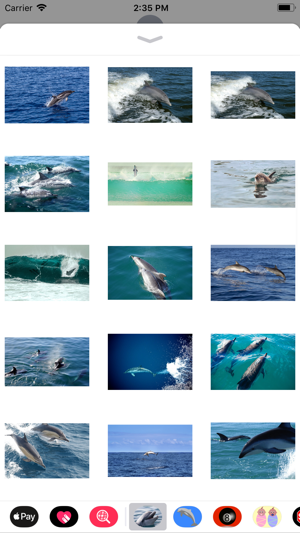 Wild Dolphin Sticker Pack(圖2)-速報App