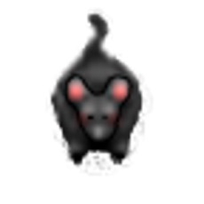 Activities of Mouse4Cat