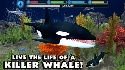 Orca Simulator Screenshot 1