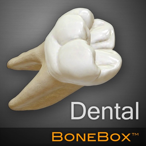 BoneBox™ - Dental Lite iOS App