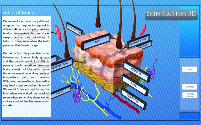 Skin Section 3D(圖3)-速報App