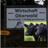Hof-Oberwald