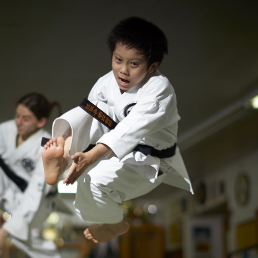 Shotokan Karate Kata Unsu Guide iOS App