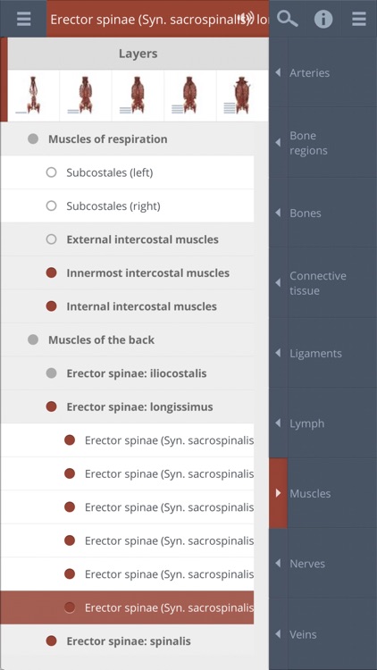 Spine: 3D Real-time