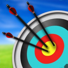 Activities of Archery Shoot
