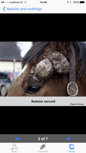 Equine Dermatology