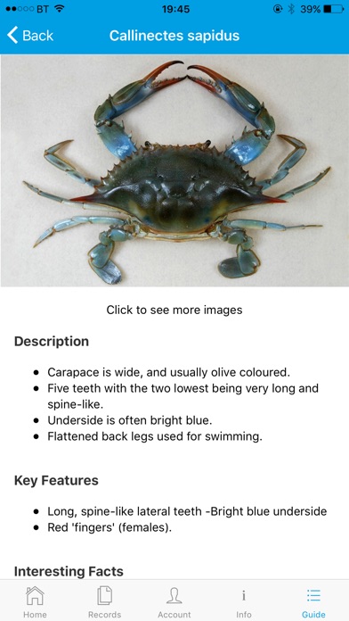 Crab Watch screenshot 3