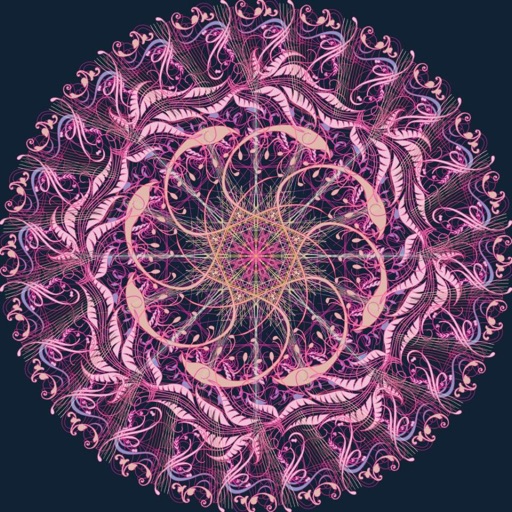 Mandala Maker: symmetry doodle