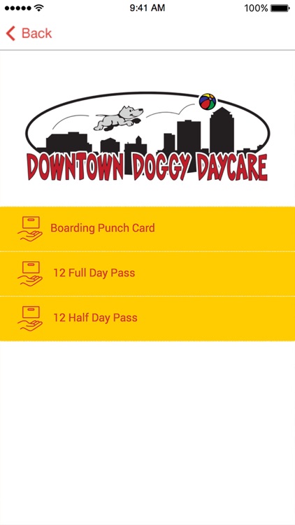 Downtown Doggy Daycare