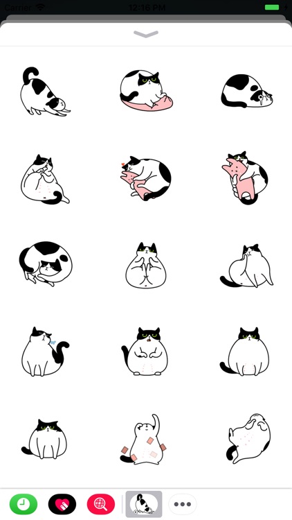 Animated Chubby Cat Sticker
