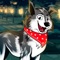 Create your own dog avatar playing our new fantastic Avatar Creator: Dog and Puppy game