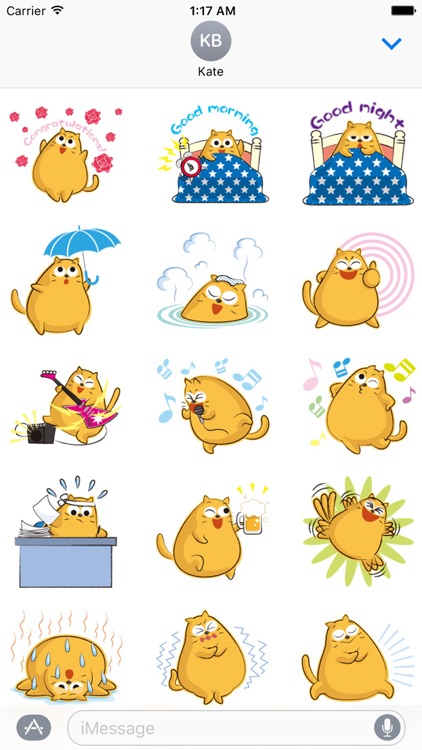 Funny Chubby Cat Sticker