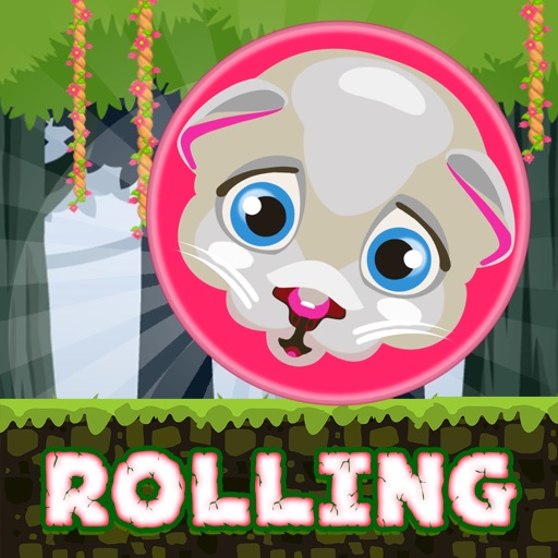 Rolling Rush - Endless Adventure