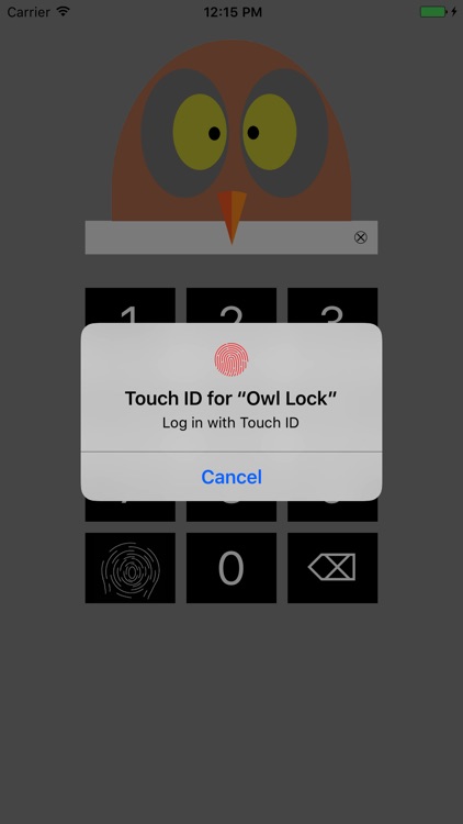 Owl Lock screenshot-3