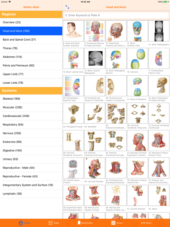 Netter's Anatomy Atlas 7eのおすすめ画像1