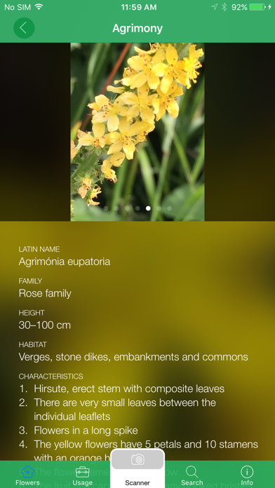 Mobile Flora - Wild Flowers Screenshot 5