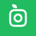 Plantsnap - Pflanzen bestimmen Plantsnap - Pflanzen bestimmen