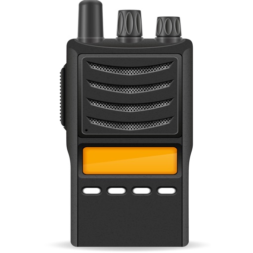 Online Video Walkie Talkie