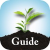 Tree Plant Garden Answers Identification