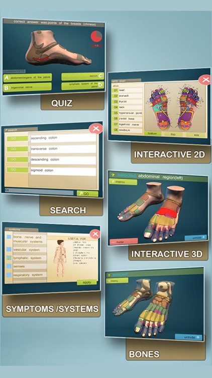 Total Reflexology-3D
