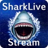 SharkLive Stream