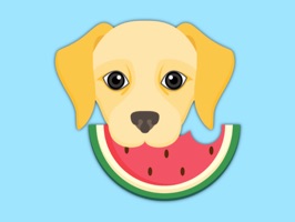 Labradors Retrievers are amazing dogs