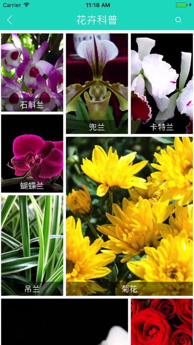 嵩明花卉展 screenshot 3